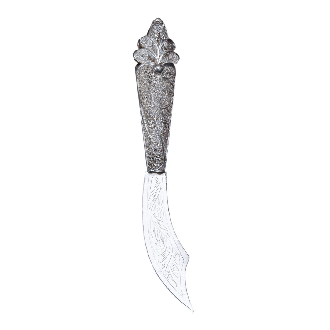 Filigreed Silver Knife ~ Leaf Patterned Silver Blade
